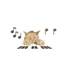 にゃんにゃんずのアニメスタンプ（個別スタンプ：23）