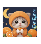 スコティッシュ猫 可愛いみかん服 スイカ帽（個別スタンプ：3）