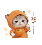 スコティッシュ猫 可愛いみかん服 スイカ帽（個別スタンプ：4）