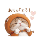 スコティッシュ猫 可愛いみかん服 スイカ帽（個別スタンプ：5）