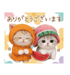 スコティッシュ猫 可愛いみかん服 スイカ帽（個別スタンプ：6）
