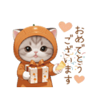 スコティッシュ猫 可愛いみかん服 スイカ帽（個別スタンプ：12）