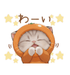 スコティッシュ猫 可愛いみかん服 スイカ帽（個別スタンプ：14）