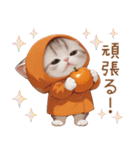 スコティッシュ猫 可愛いみかん服 スイカ帽（個別スタンプ：16）