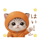 スコティッシュ猫 可愛いみかん服 スイカ帽（個別スタンプ：17）