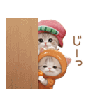 スコティッシュ猫 可愛いみかん服 スイカ帽（個別スタンプ：20）