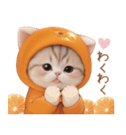 スコティッシュ猫 可愛いみかん服 スイカ帽（個別スタンプ：21）