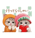 スコティッシュ猫 可愛いみかん服 スイカ帽（個別スタンプ：23）