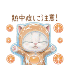 スコティッシュ猫 可愛いみかん服 スイカ帽（個別スタンプ：24）