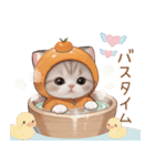 スコティッシュ猫 可愛いみかん服 スイカ帽（個別スタンプ：26）