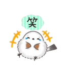 毎日使える挨拶返事✴︎まるふわシマエナガ（個別スタンプ：34）