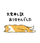 今日も柴犬が可愛い5 -赤柴-（個別スタンプ：5）