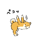 今日も柴犬が可愛い5 -赤柴-（個別スタンプ：6）
