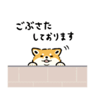 今日も柴犬が可愛い5 -赤柴-（個別スタンプ：11）