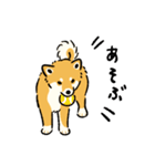 今日も柴犬が可愛い5 -赤柴-（個別スタンプ：13）