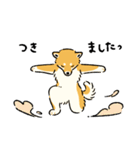 今日も柴犬が可愛い5 -赤柴-（個別スタンプ：15）
