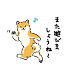 今日も柴犬が可愛い5 -赤柴-（個別スタンプ：16）