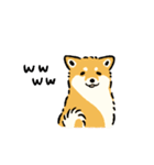 今日も柴犬が可愛い5 -赤柴-（個別スタンプ：19）