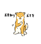今日も柴犬が可愛い5 -赤柴-（個別スタンプ：20）