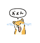今日も柴犬が可愛い5 -赤柴-（個別スタンプ：21）