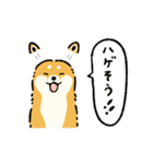 今日も柴犬が可愛い5 -赤柴-（個別スタンプ：22）