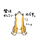 今日も柴犬が可愛い5 -赤柴-（個別スタンプ：23）