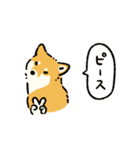 今日も柴犬が可愛い5 -赤柴-（個別スタンプ：25）