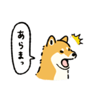 今日も柴犬が可愛い5 -赤柴-（個別スタンプ：27）