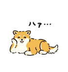 今日も柴犬が可愛い5 -赤柴-（個別スタンプ：28）