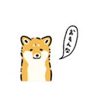 今日も柴犬が可愛い5 -赤柴-（個別スタンプ：31）