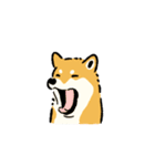 今日も柴犬が可愛い5 -赤柴-（個別スタンプ：32）