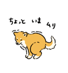 今日も柴犬が可愛い5 -赤柴-（個別スタンプ：33）