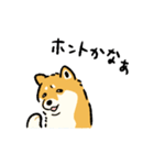 今日も柴犬が可愛い5 -赤柴-（個別スタンプ：34）