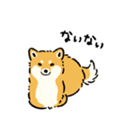 今日も柴犬が可愛い5 -赤柴-（個別スタンプ：35）