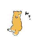 今日も柴犬が可愛い5 -赤柴-（個別スタンプ：37）