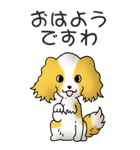 キャバリアの姫と殿 その1（個別スタンプ：1）