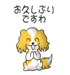キャバリアの姫と殿 その1（個別スタンプ：4）