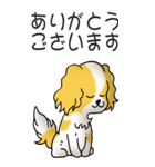 キャバリアの姫と殿 その1（個別スタンプ：5）