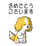 キャバリアの姫と殿 その1（個別スタンプ：7）