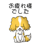 キャバリアの姫と殿 その1（個別スタンプ：12）