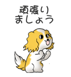 キャバリアの姫と殿 その1（個別スタンプ：13）