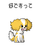 キャバリアの姫と殿 その1（個別スタンプ：16）