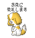 キャバリアの姫と殿 その1（個別スタンプ：17）