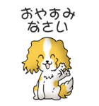キャバリアの姫と殿 その1（個別スタンプ：18）