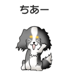 キャバリアの姫と殿 その1（個別スタンプ：22）