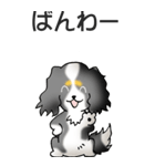 キャバリアの姫と殿 その1（個別スタンプ：23）