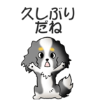 キャバリアの姫と殿 その1（個別スタンプ：24）