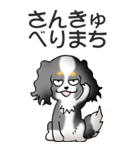 キャバリアの姫と殿 その1（個別スタンプ：25）