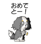 キャバリアの姫と殿 その1（個別スタンプ：27）