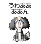 キャバリアの姫と殿 その1（個別スタンプ：40）